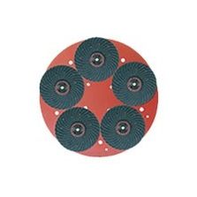 Disco con 5 fibrodischi G.16 - Maxititina Raimondi