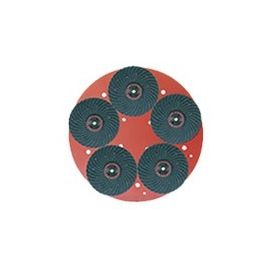 Disco con 5 fibrodischi G.16 - Maxititina Raimondi